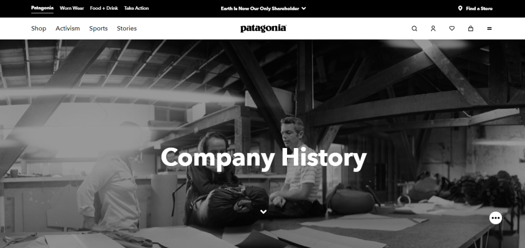 patagonia company profile